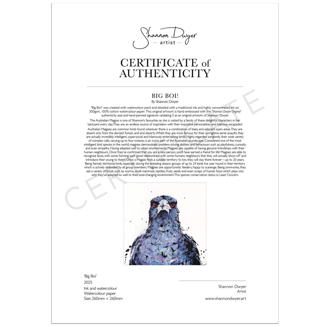 SOLD! 'BIG BOI', Australian Magpie - original artwork