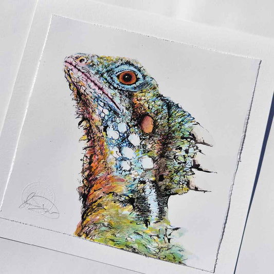 SOLD - 'Masquerade', Boyd's Forest Dragon