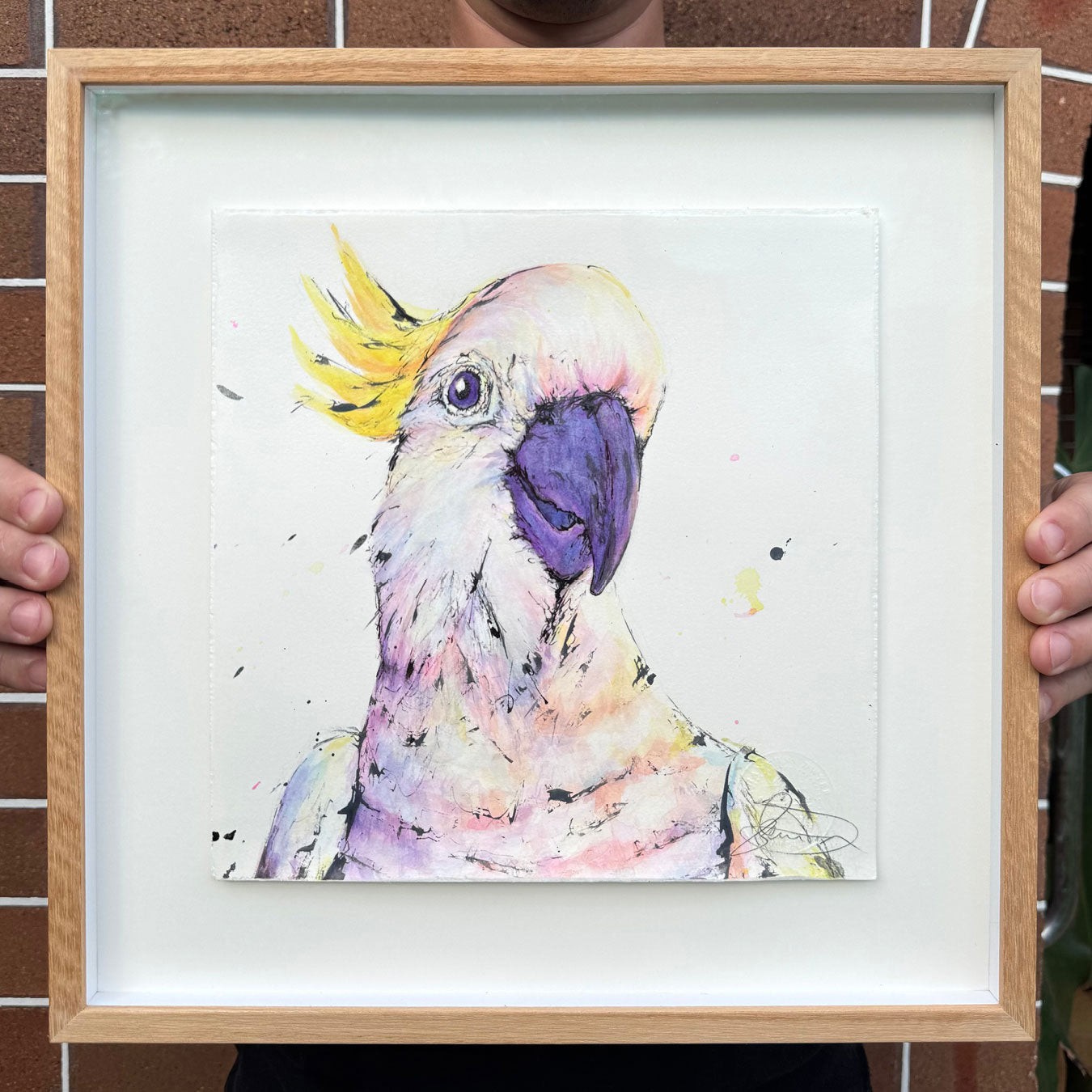 'Giggle' the Sulphur-crested Cockatoo - Framed* original artwork