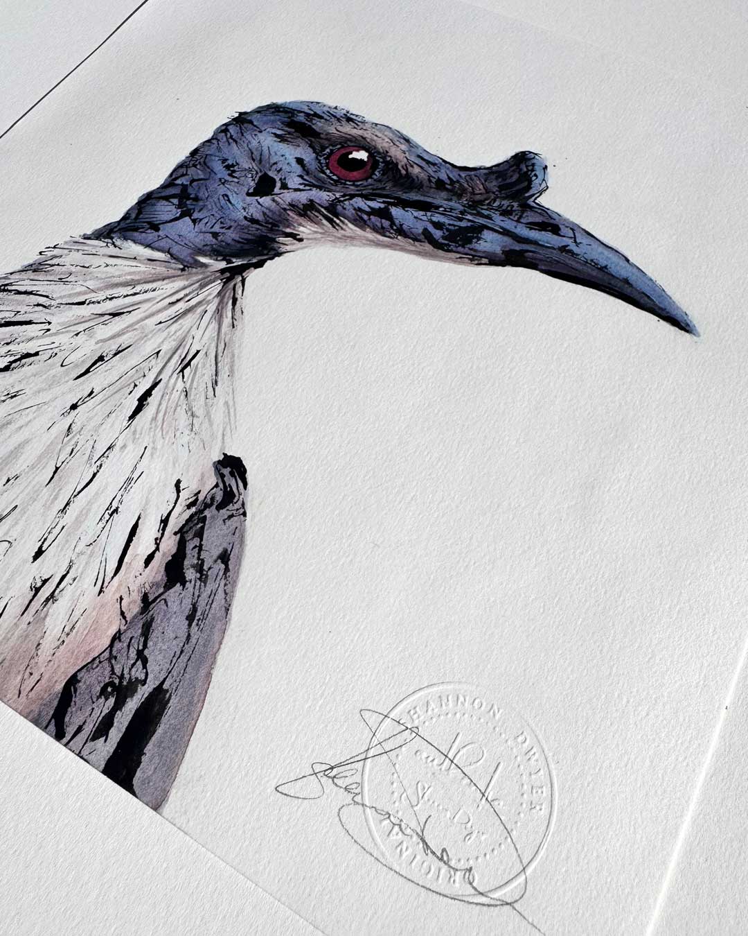 'FRIDA' the Noisy Friarbird - original artwork