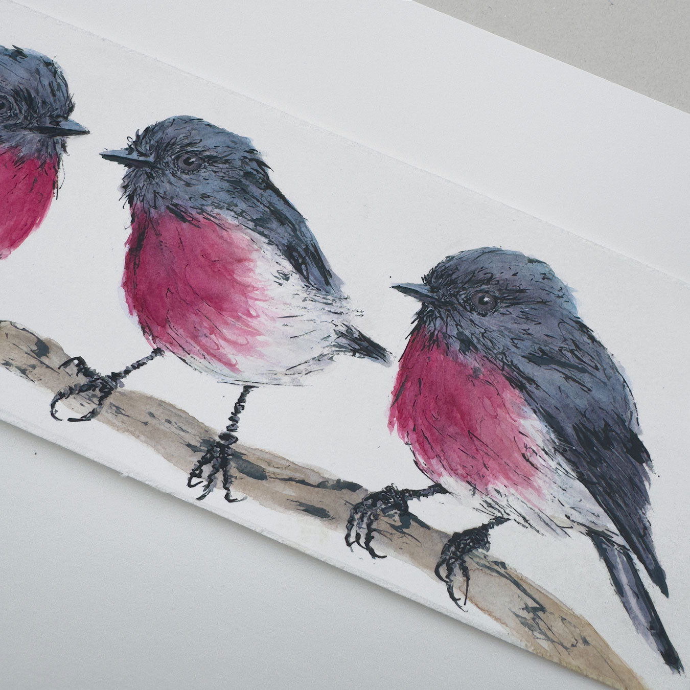 'PRETTY IN PINK' the Rose Robin - original artwork