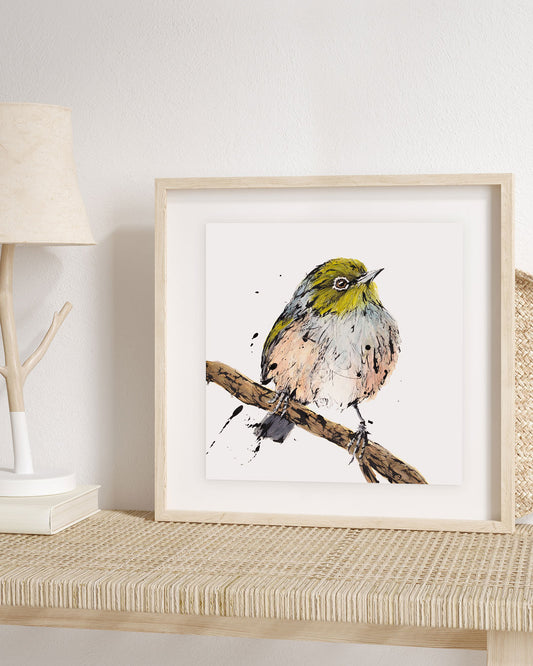 SOLD - 'SPIKE', the Silvereye - original artwork