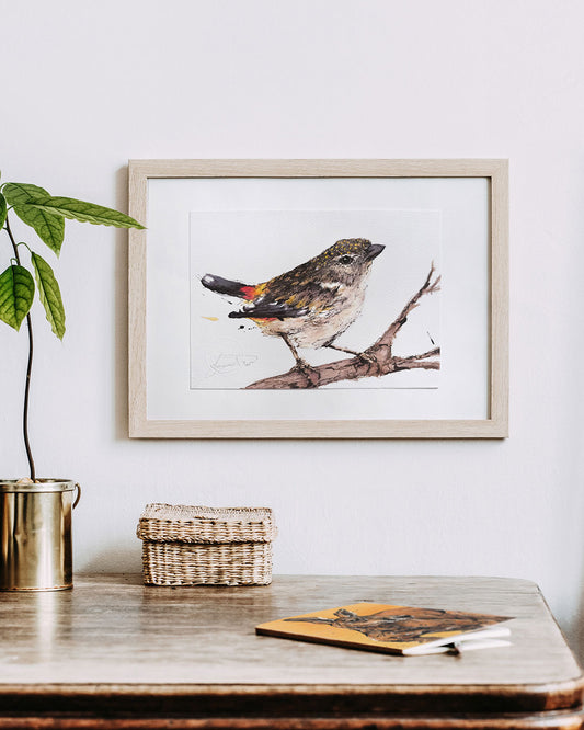 SOLD - 'MRS SPOTS', the Spotted Pardalote