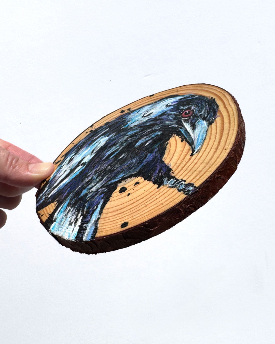'SEEK' the Australian Magpie - Wooden Disc