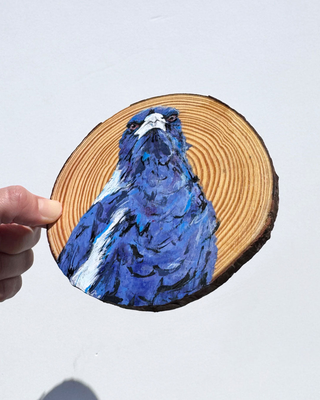 'STARE' the Australian Magpie Wooden Disc