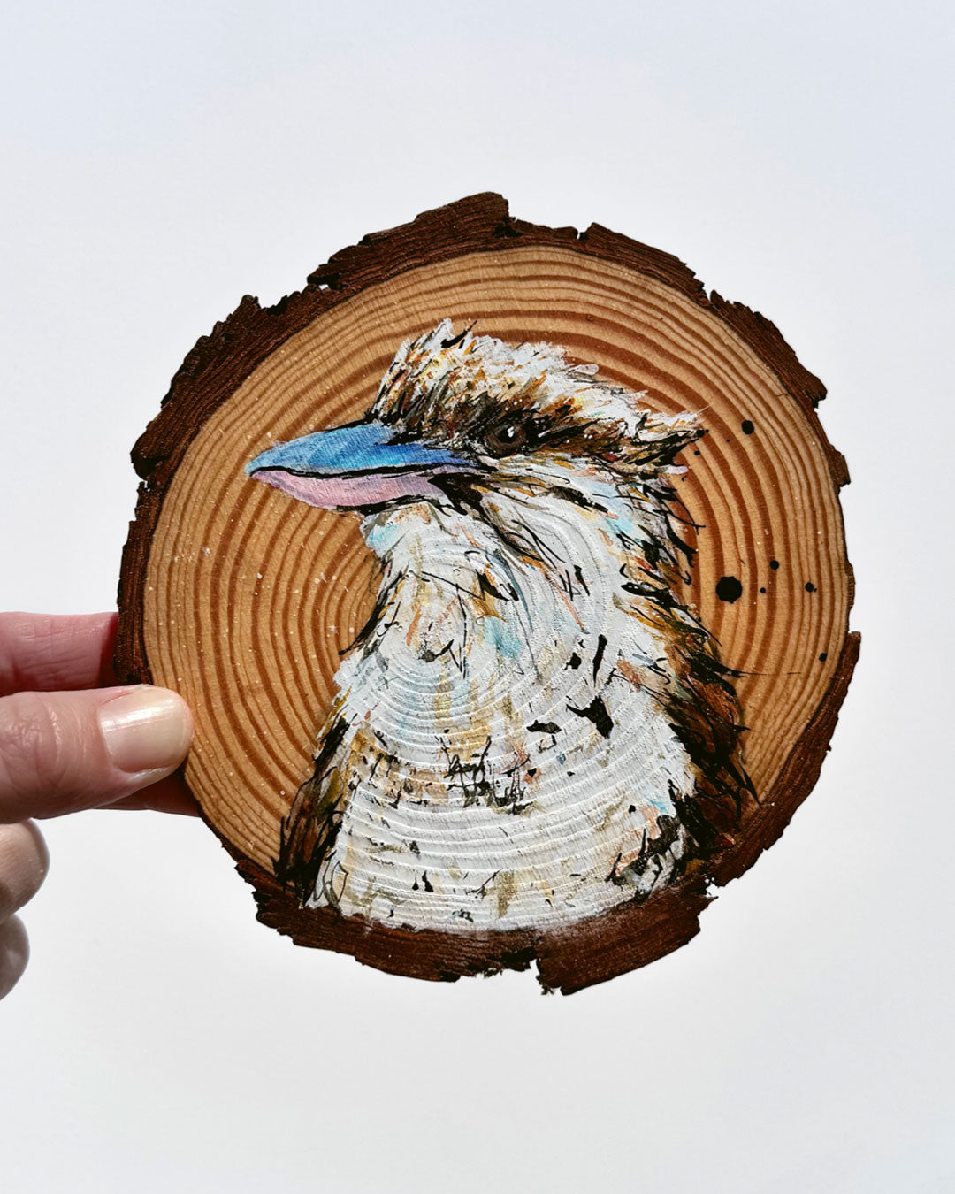 'Watchful' the Laughing Kookaburra Wooden Disc