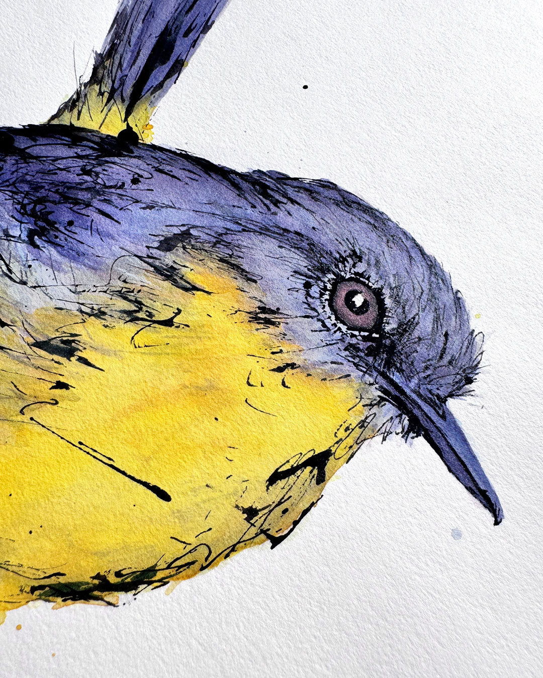 'EASTON' the Eastern Yellow Robin - original artwork