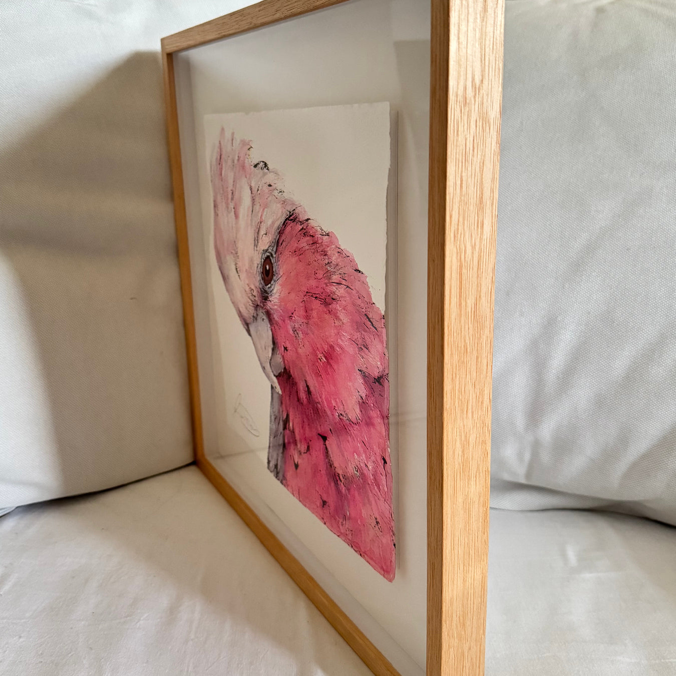 'SWEETS' the Galah - Framed* original artwork