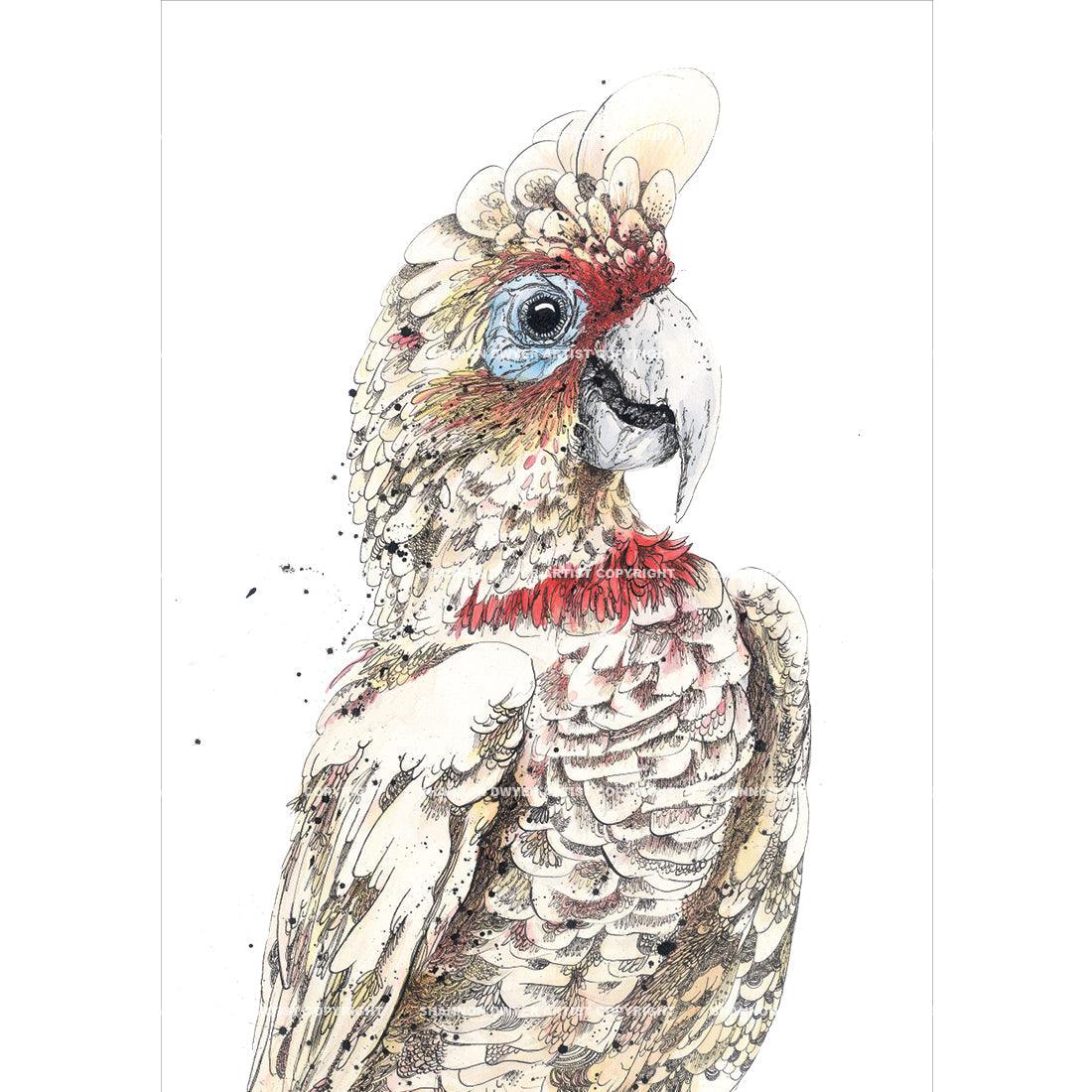 'Bluey', Long-Billed Corella Fine Art Print
