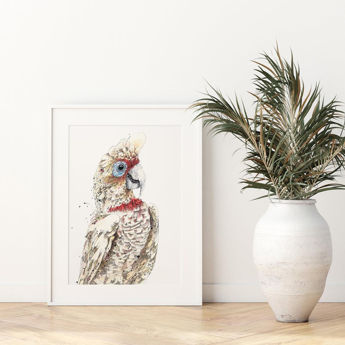 'Bluey', Long-Billed Corella Fine Art Print