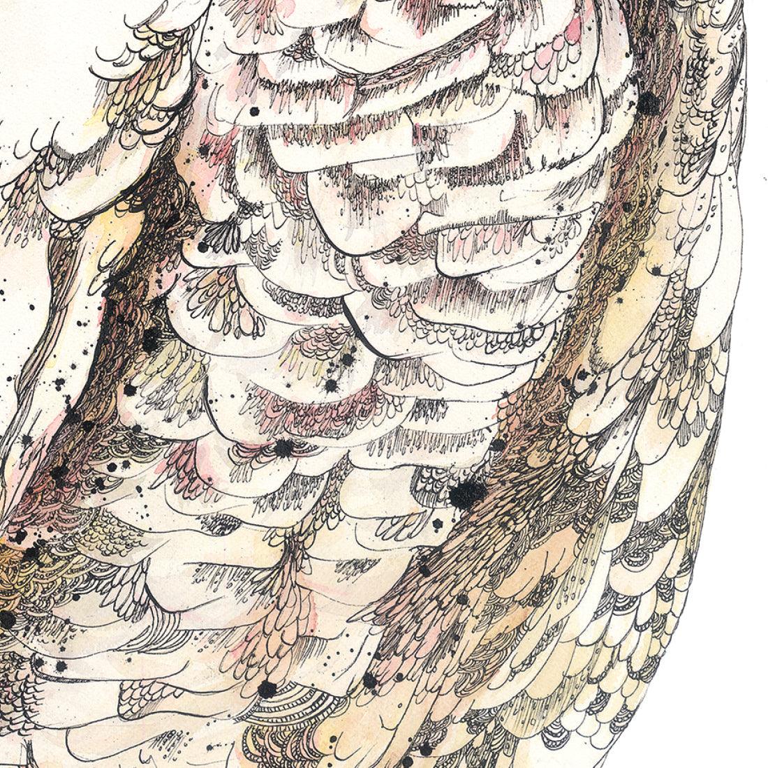 'Bluey', Long-Billed Corella Fine Art Print