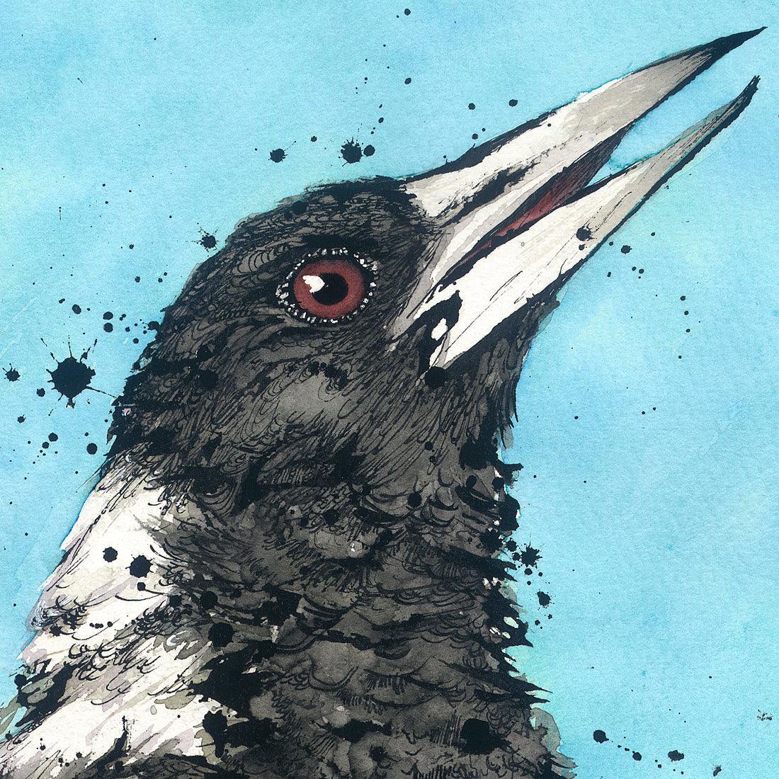 'Carol' the Australian Magpie Fine Art Print