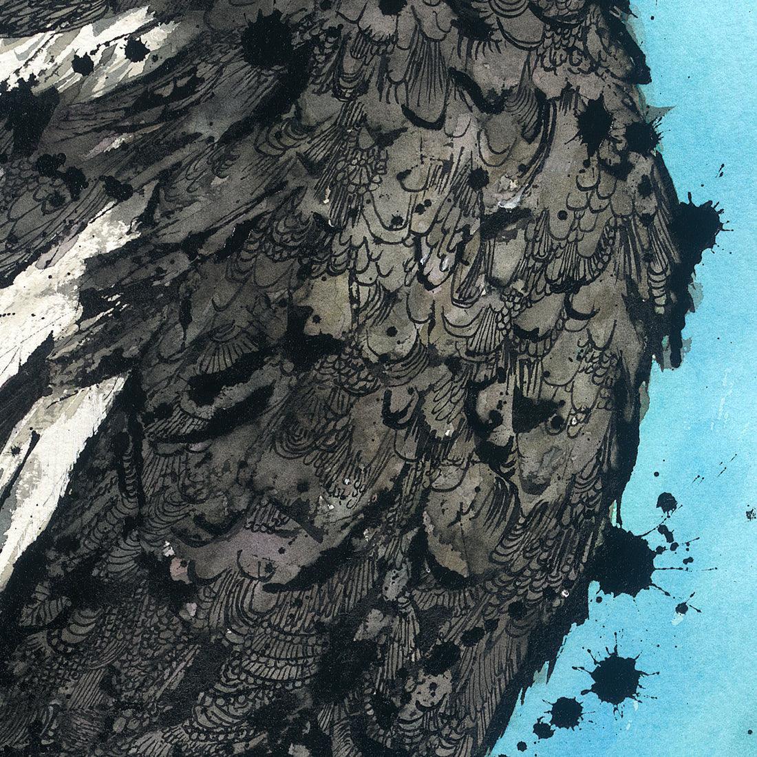 'Carol' the Australian Magpie Fine Art Print