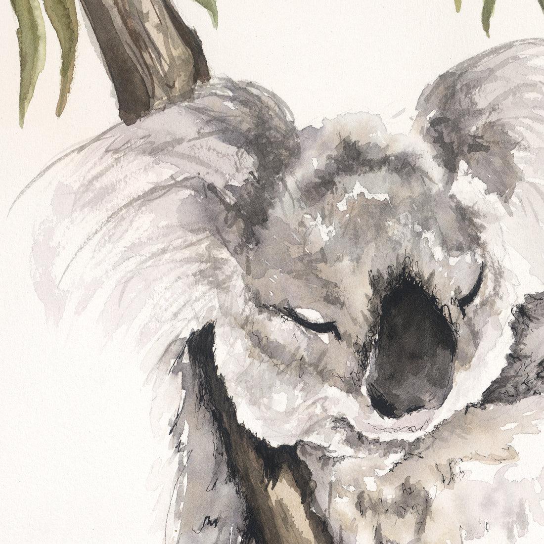 'Naptime' Koala Fine Art Print