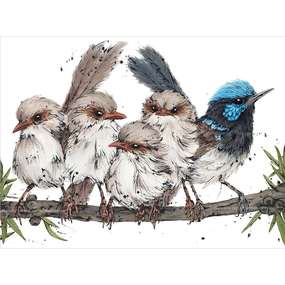 'Superb Love', Superb Fairy-wrens Fine Art Print