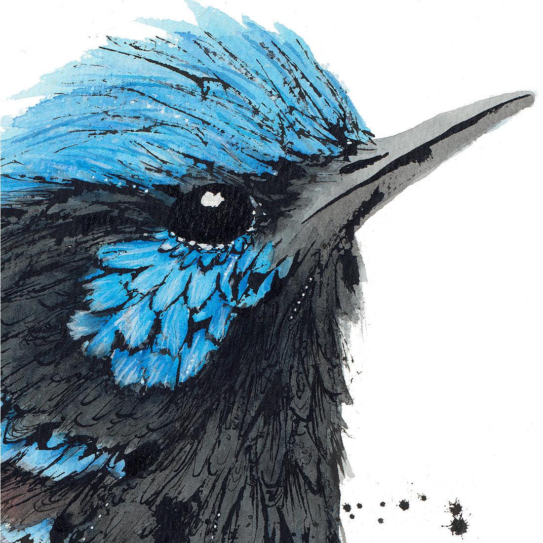 'Superb Love', Superb Fairy-wrens Fine Art Print