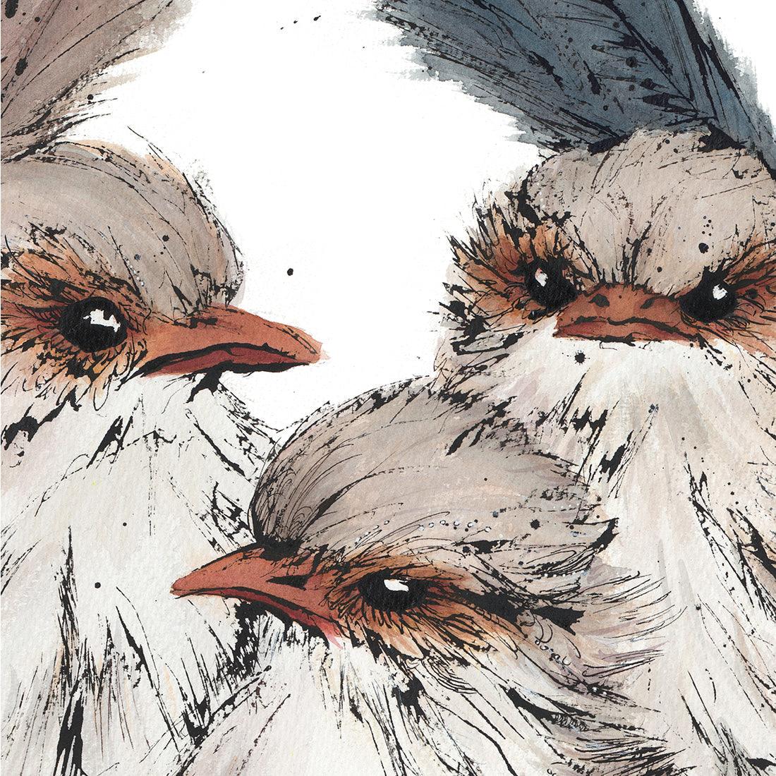 'Superb Love', Superb Fairy-wrens Fine Art Print