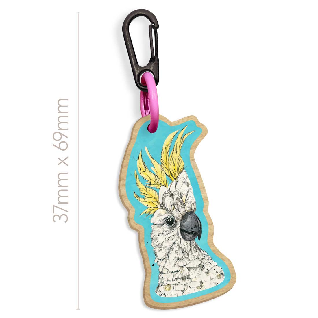 'Brad' the rad Sulphur-crested Cockatoo