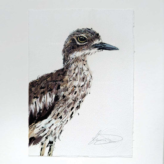 SOLD - 'BONNIE', the Bush-Stone Curlew
