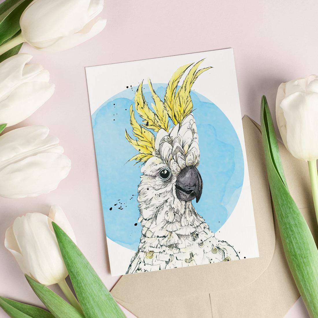 'Brad', the Rad Sulphur-crested Cockatoo