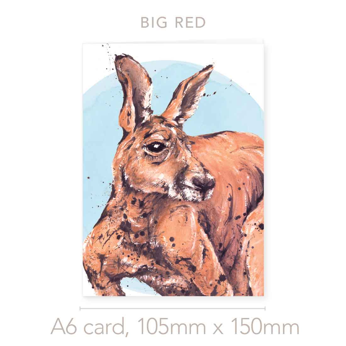 'Big Red', Red Kangaroo