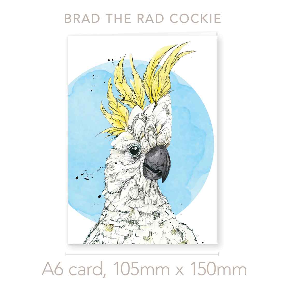 'Brad', the Rad Sulphur-crested Cockatoo