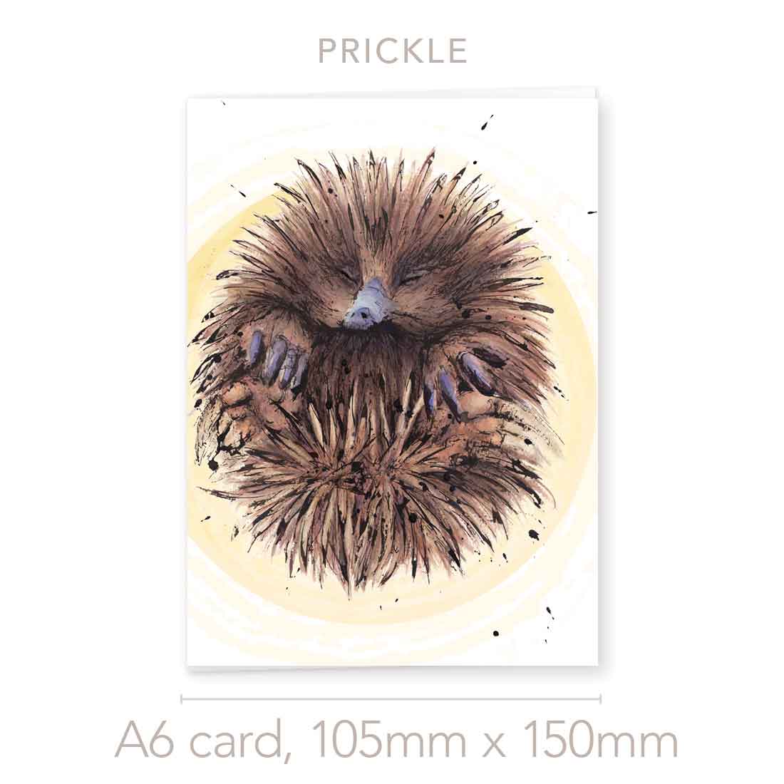 'Prickle', Australian Echidna