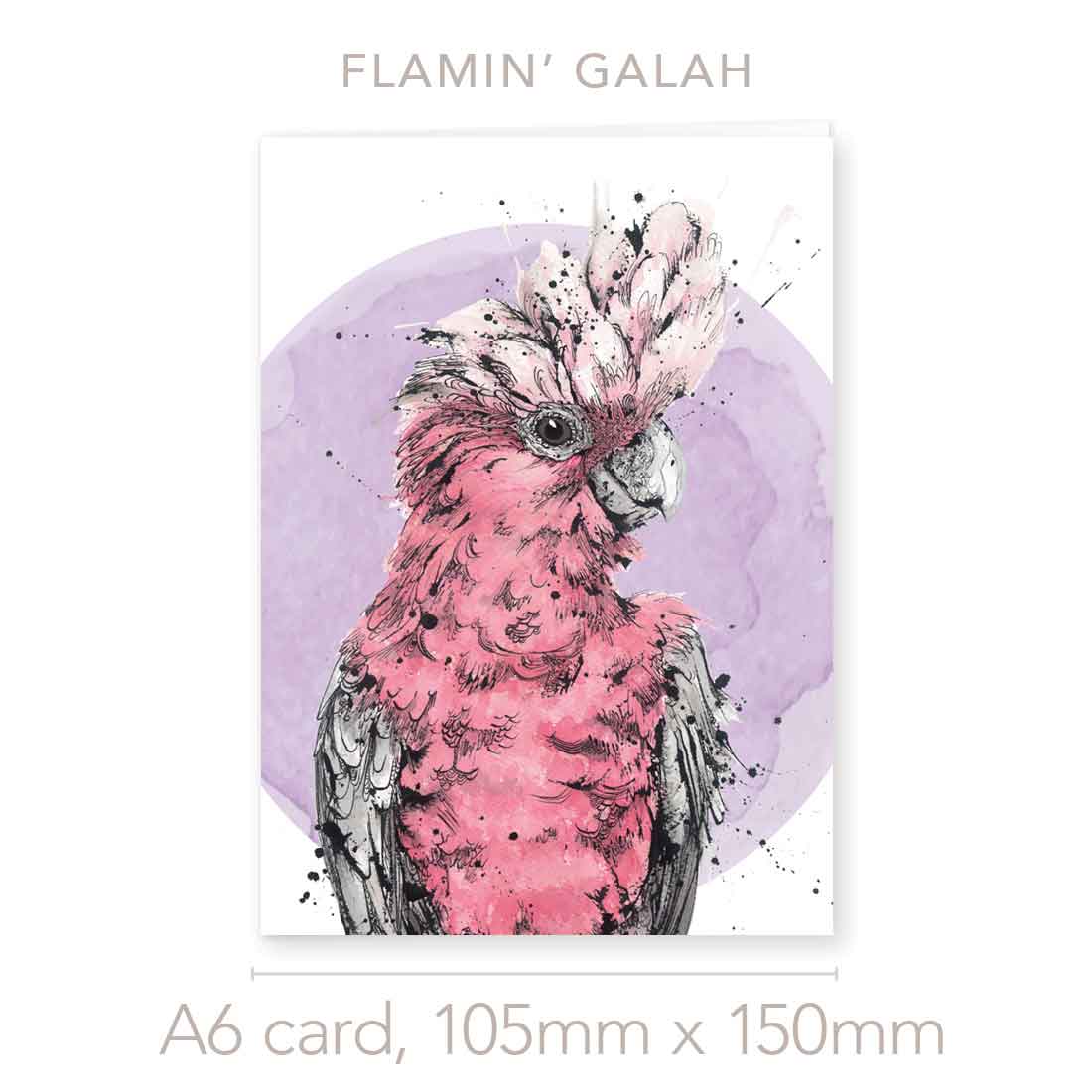 'Flamin Galah', the Galah