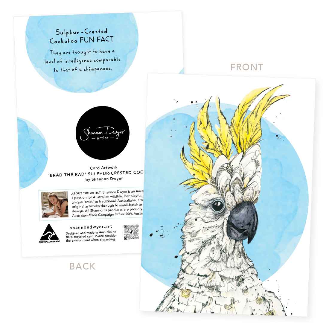 'Brad', the Rad Sulphur-crested Cockatoo