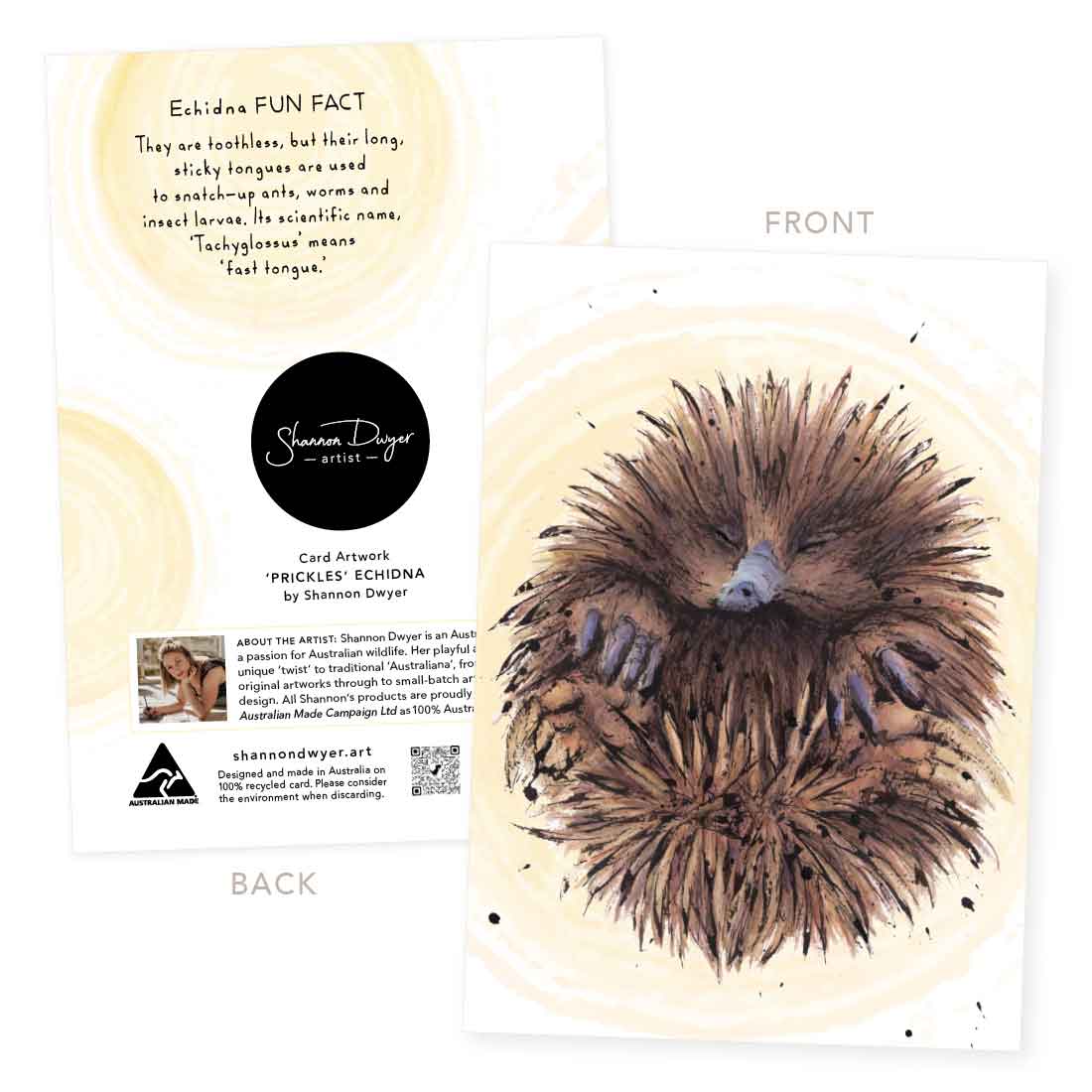 'Prickle', Australian Echidna