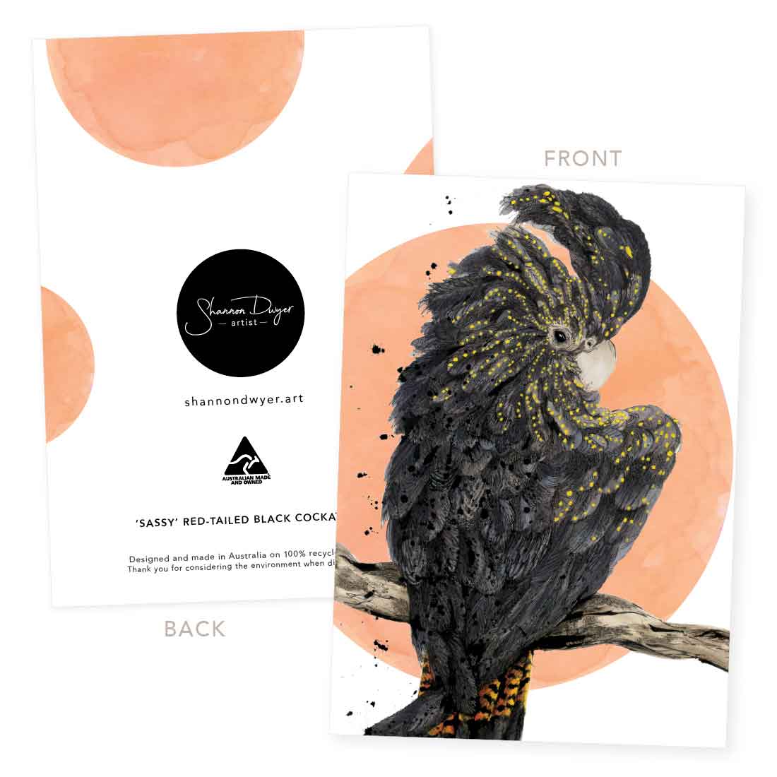 'Sassy', the Red-tailed Black Cockatoo