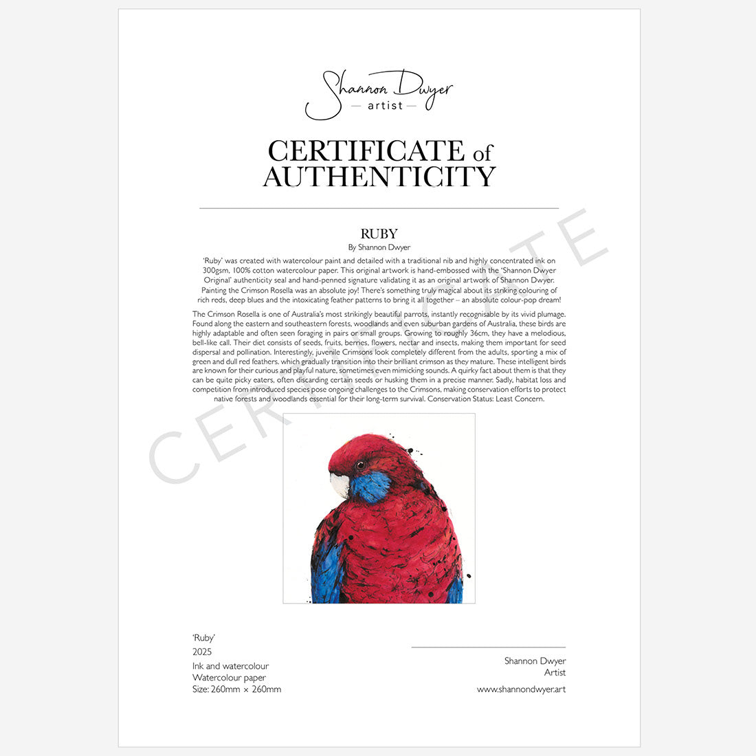 'Ruby' the Crimson Rosella - original artwork