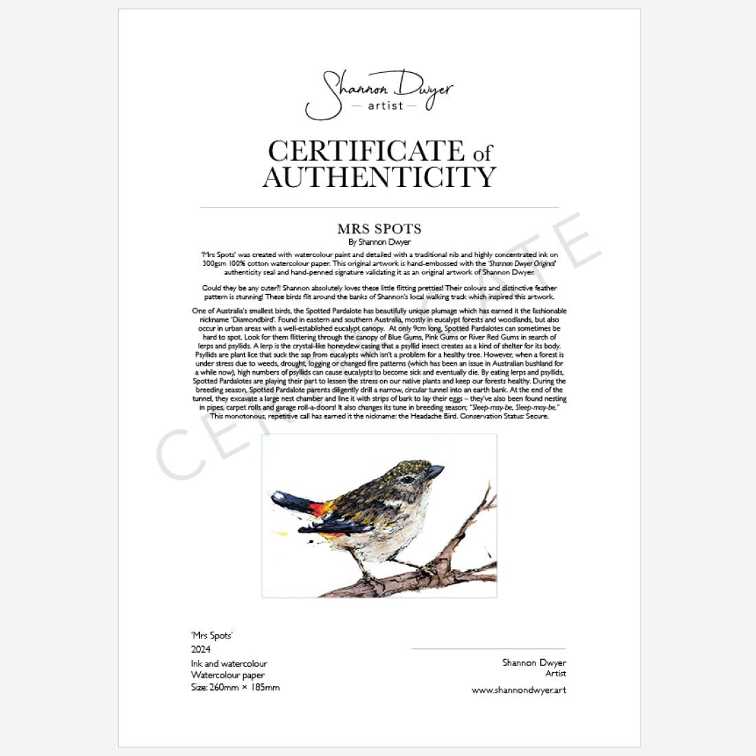 'MRS SPOTS', the Spotted Pardalote