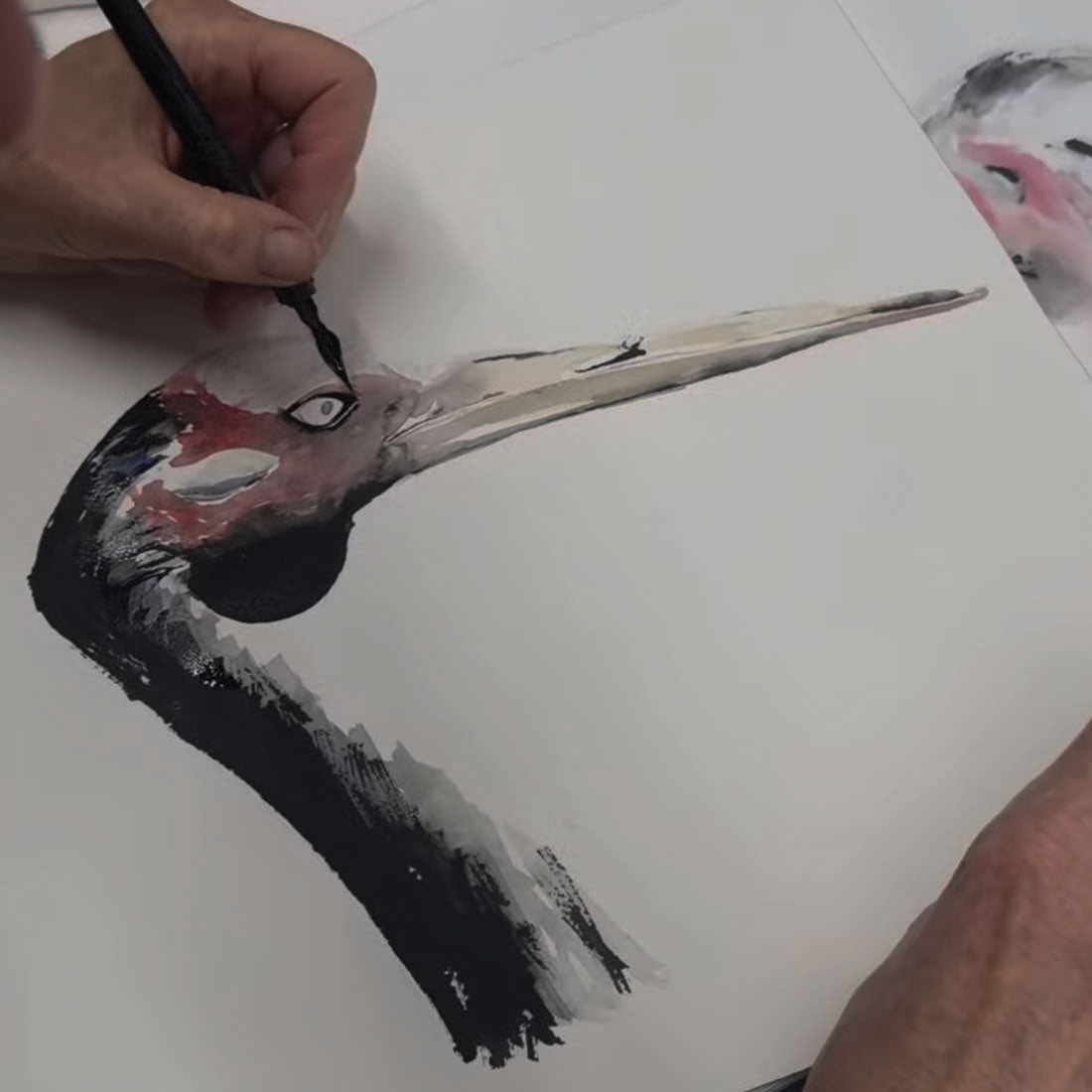 Afternoon Wildlife Drawing Courses