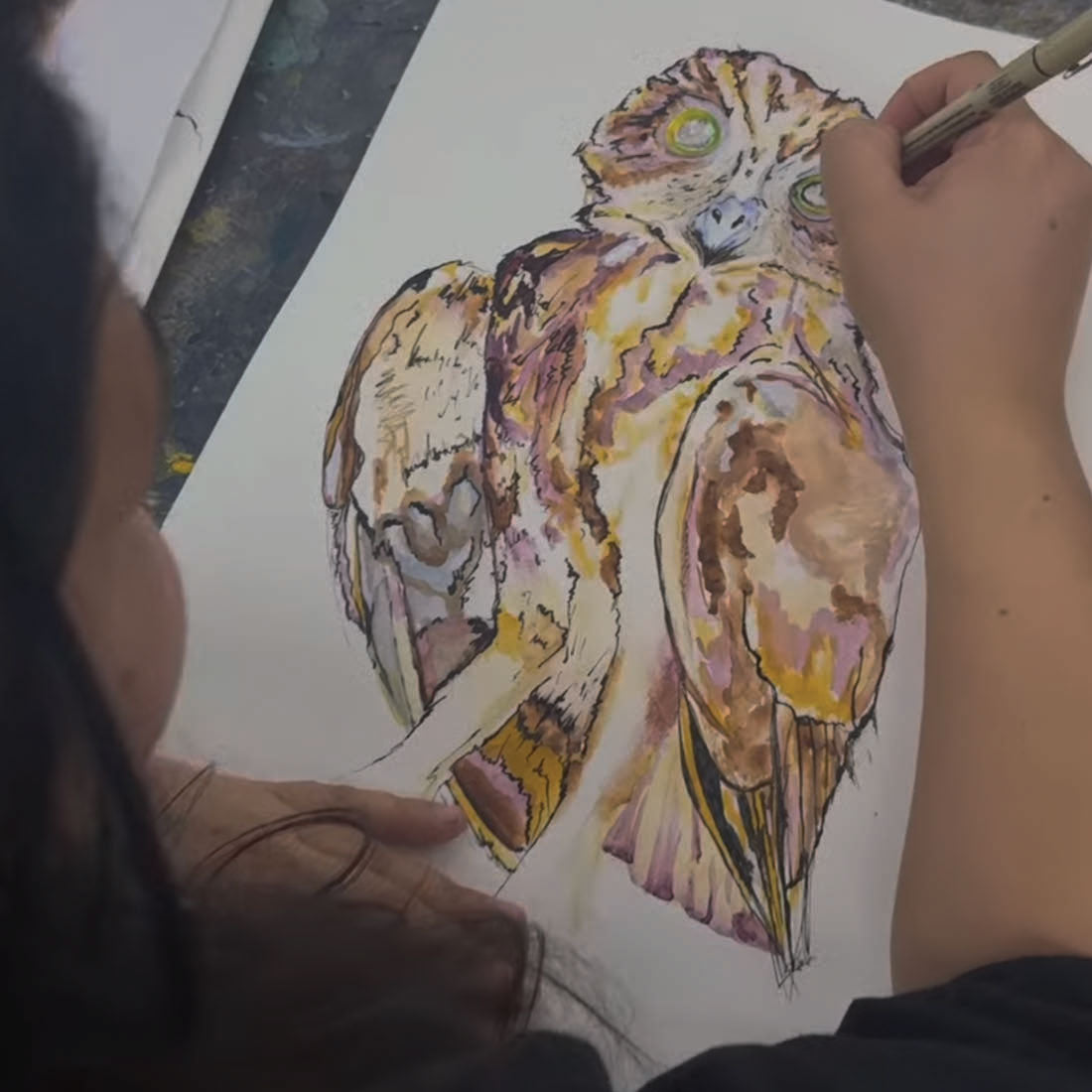 Afternoon Wildlife Drawing Courses