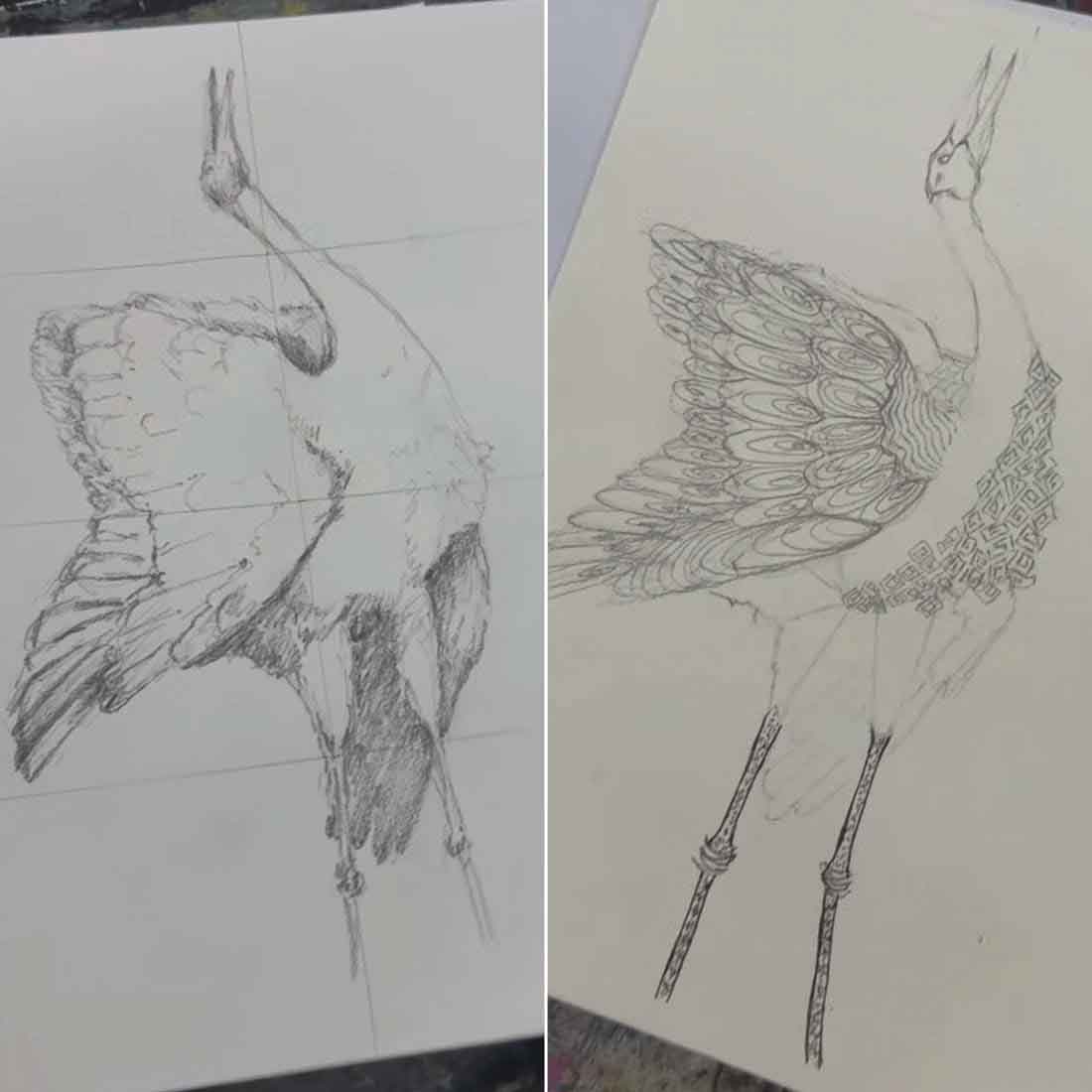 Afternoon Wildlife Drawing Courses