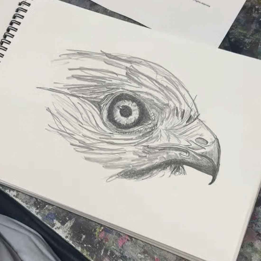 Night Wildlife Drawing Course
