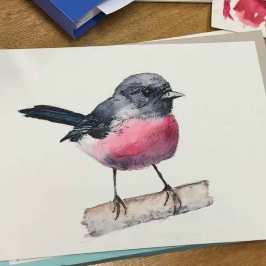 Afternoon Wildlife Drawing Courses