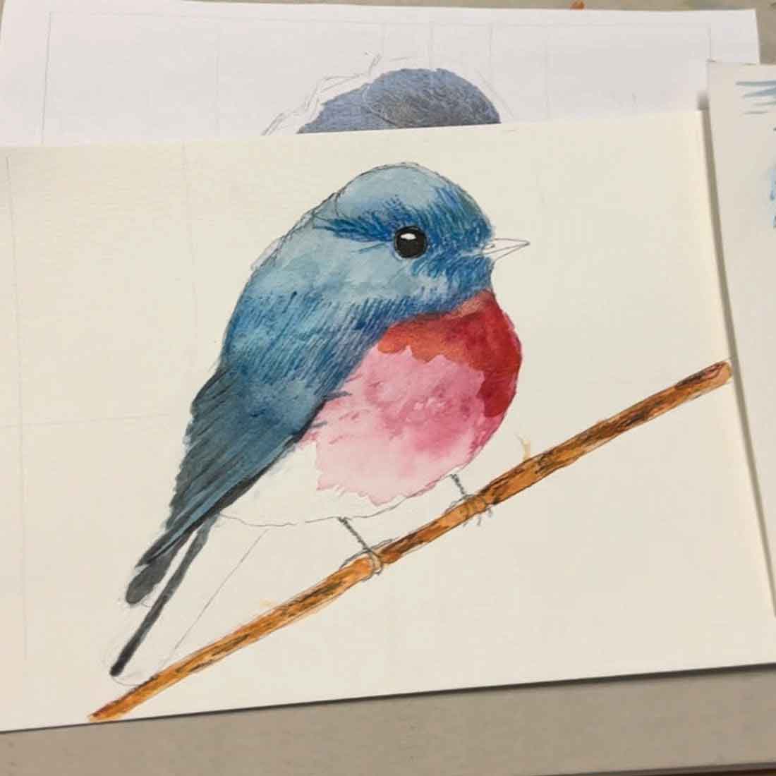 Night Wildlife Drawing Course