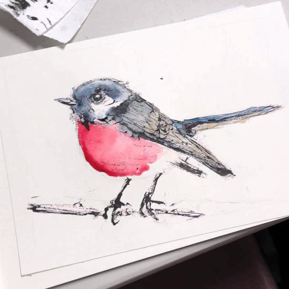 Night Wildlife Drawing Course
