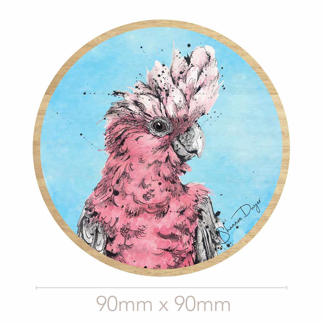 'Parrot Play', Australian Parrots