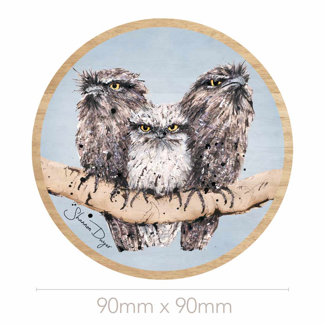 'Stuck in the Middle', Tawny Frogmouths