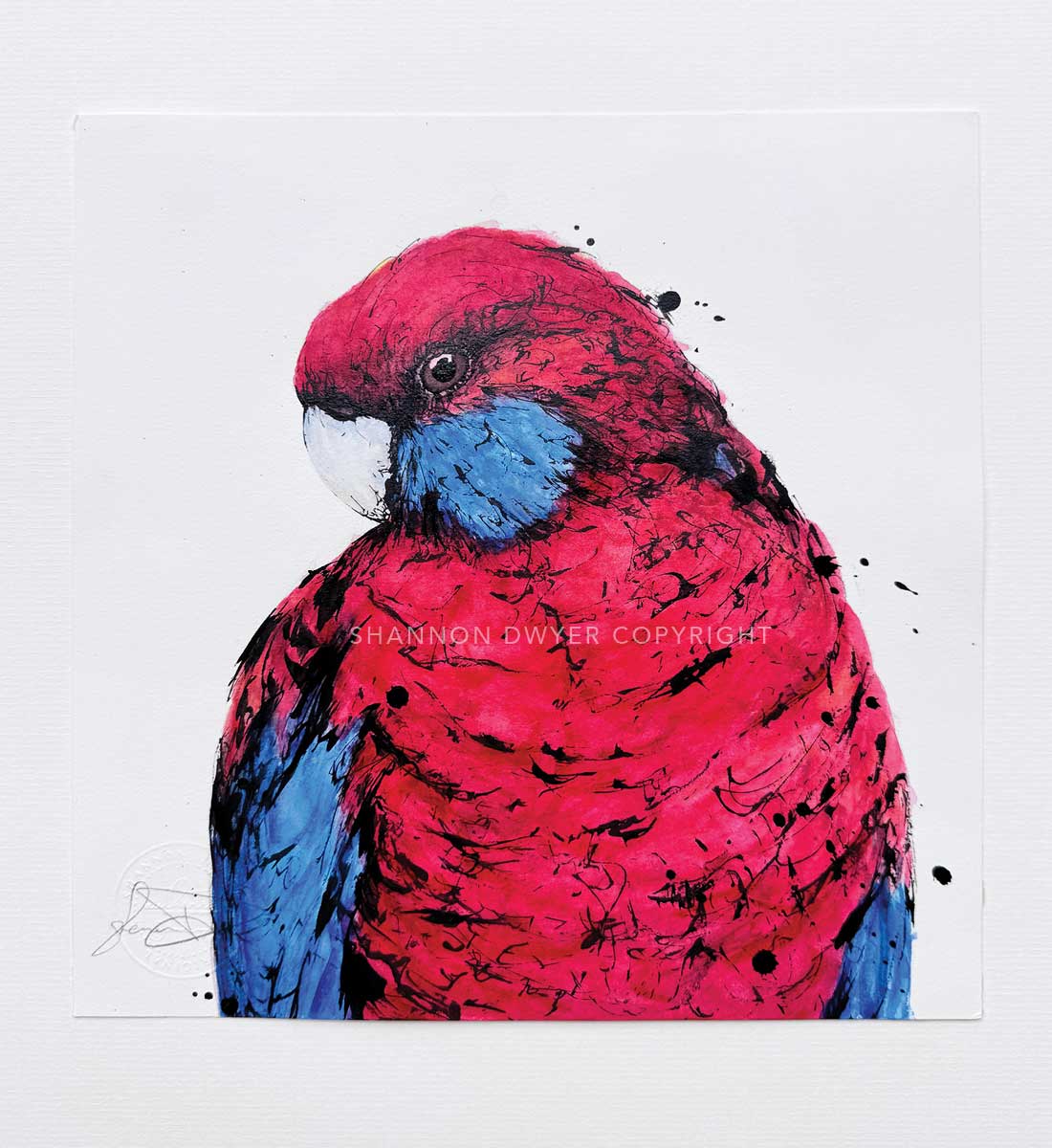 'Ruby', the Crimson Rosella