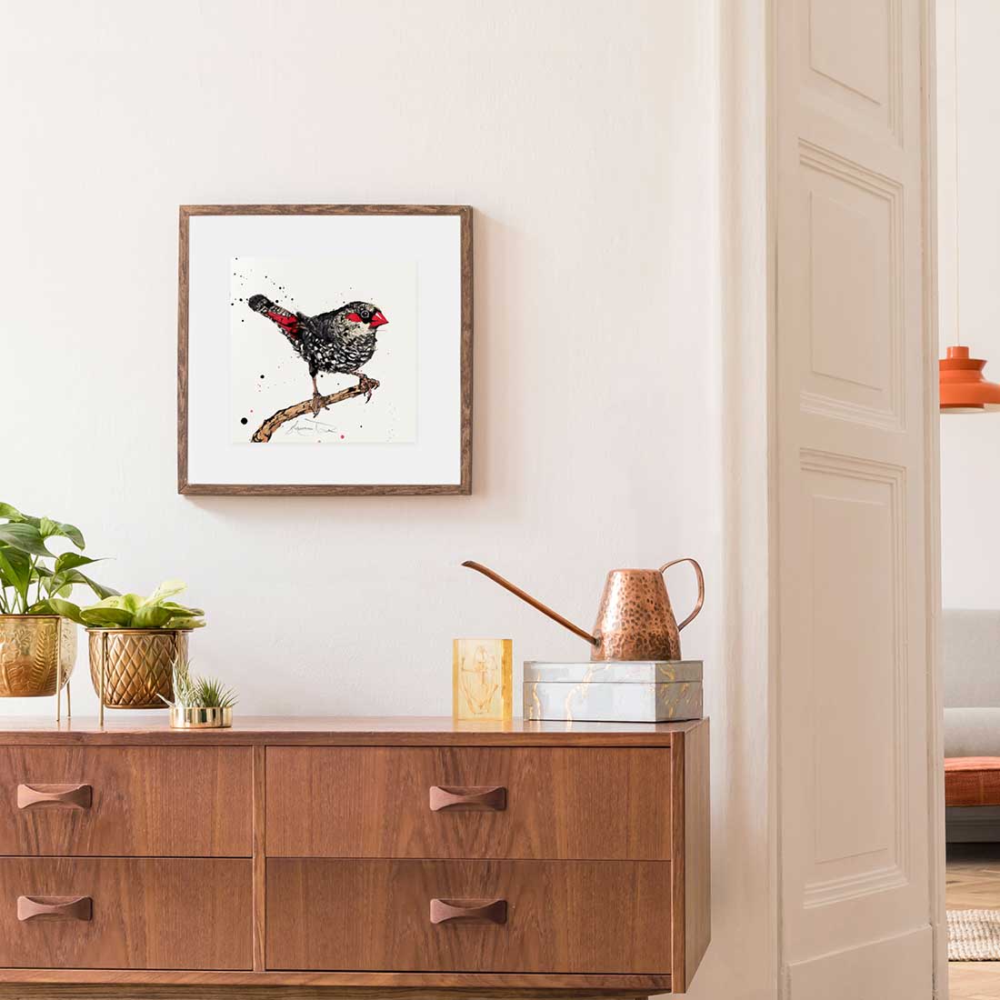 'Flare', the Red-eared Firetail