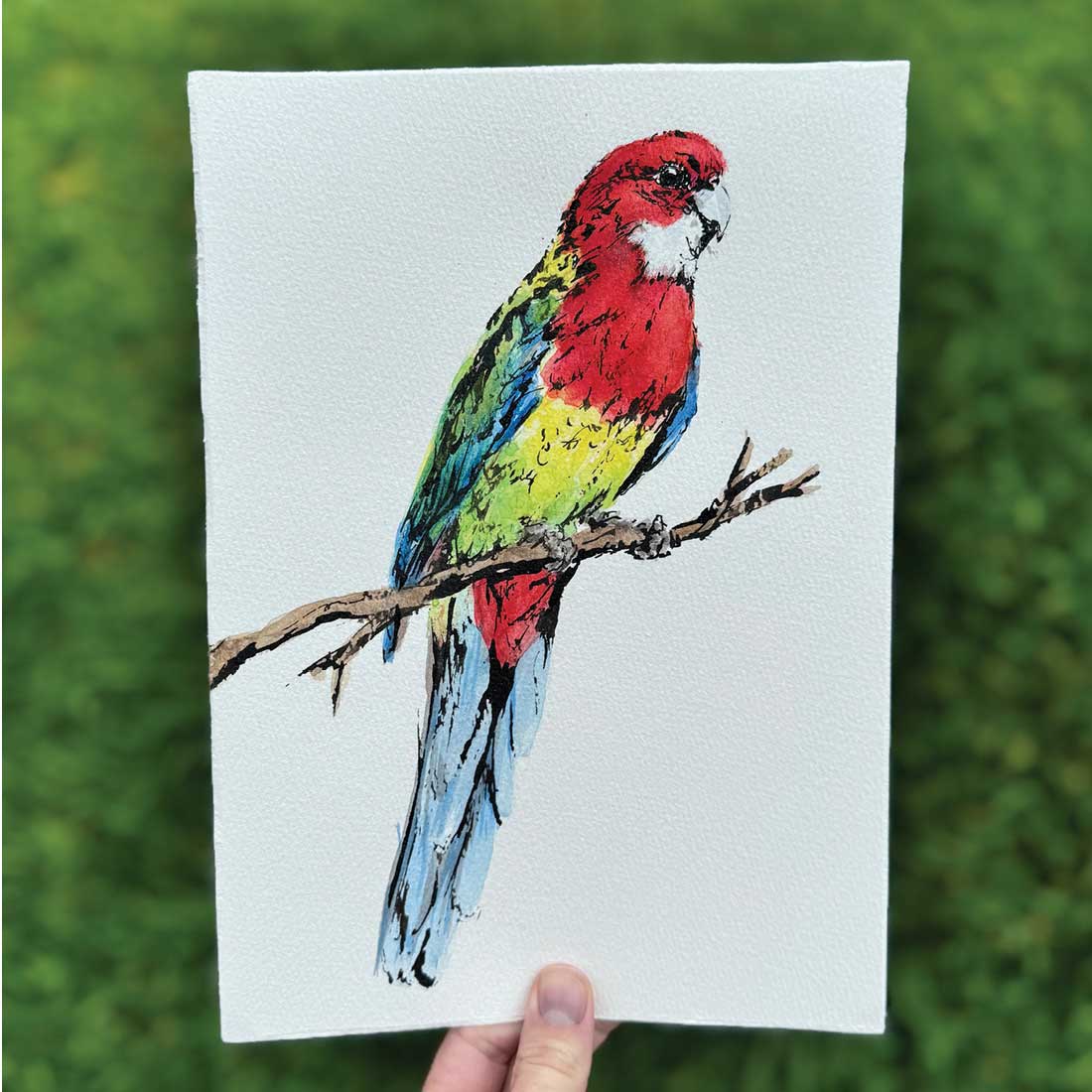 SOLD - 'ROWAN', the Rosella - original artwork