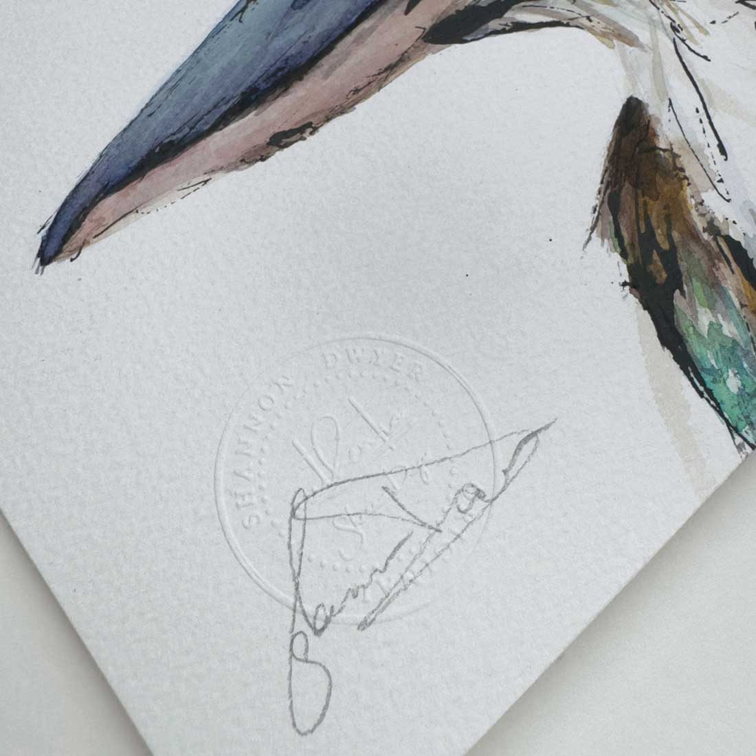 'IN THE ZONE', the Kookaburra