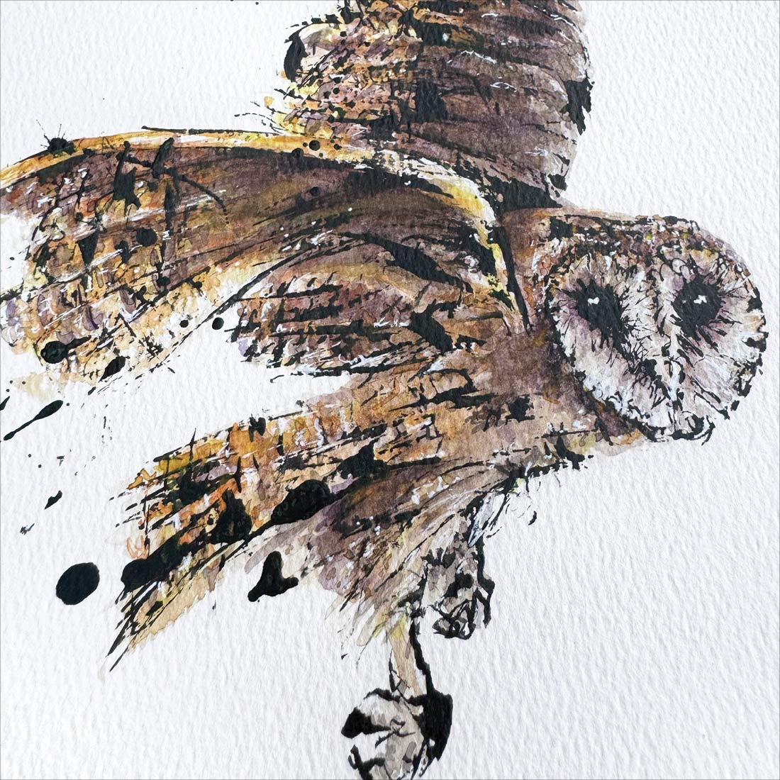 SOLD – 'Mask!', the Tasmanian Masked Owl