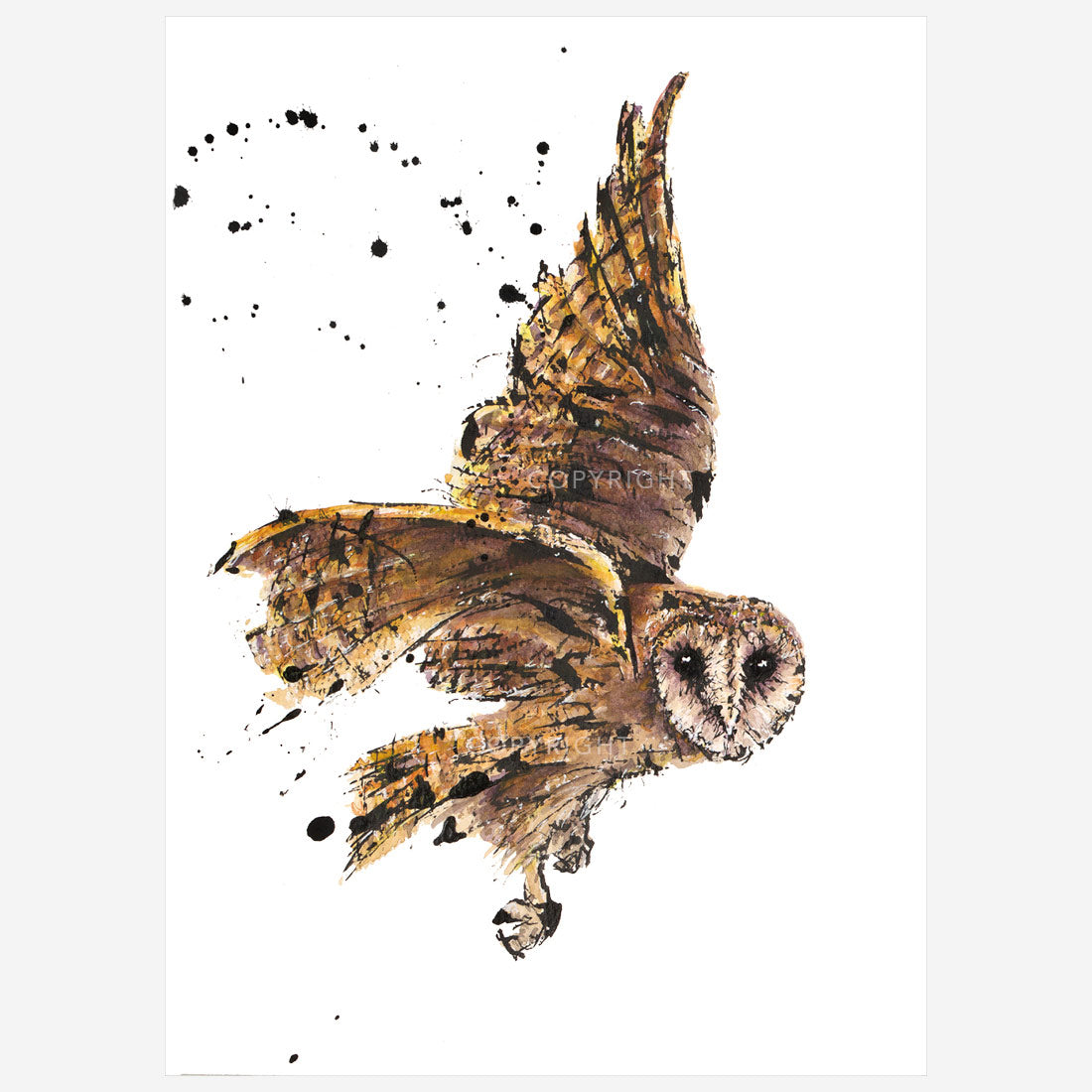 SOLD – 'Mask!', the Tasmanian Masked Owl