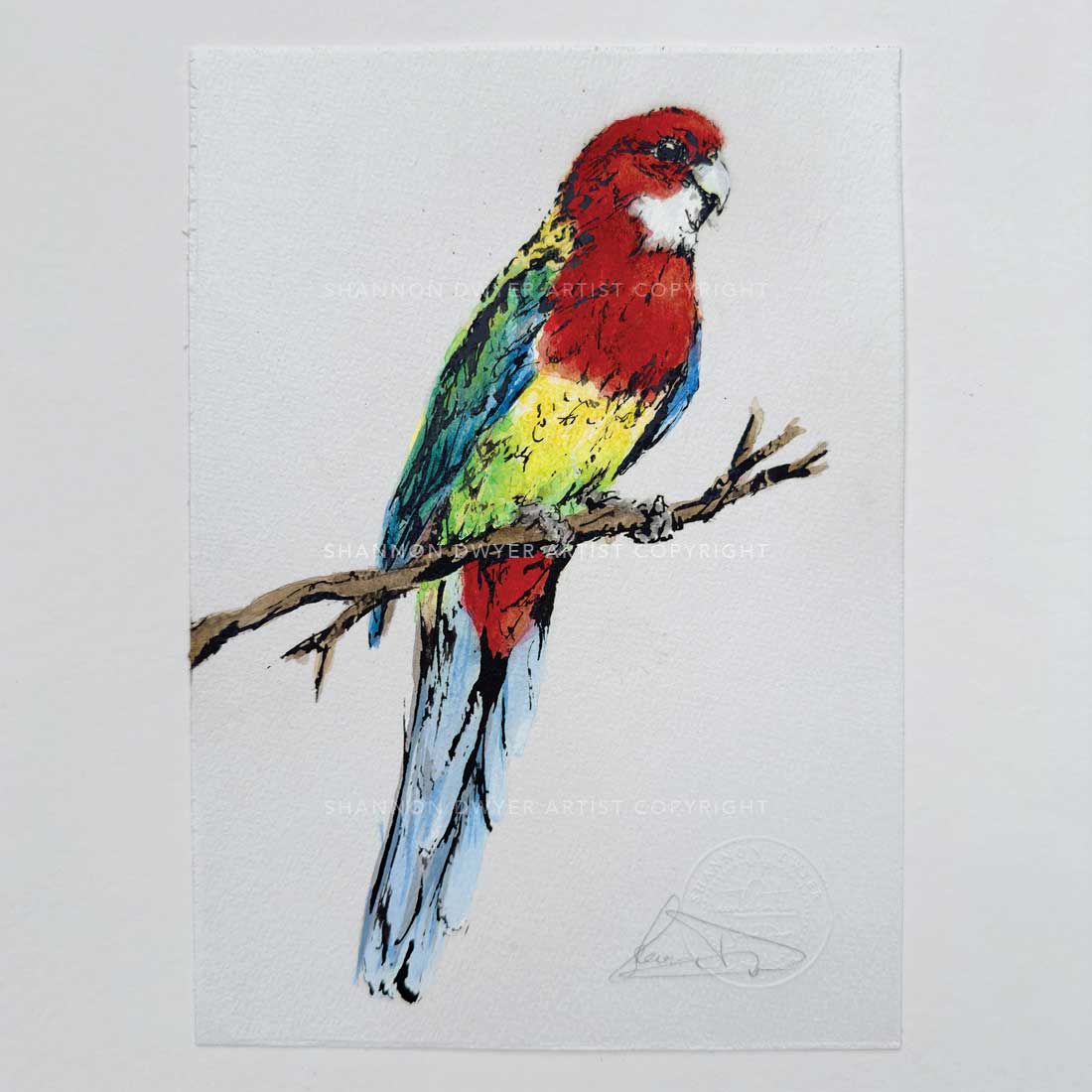SOLD - 'ROWAN', the Rosella - original artwork