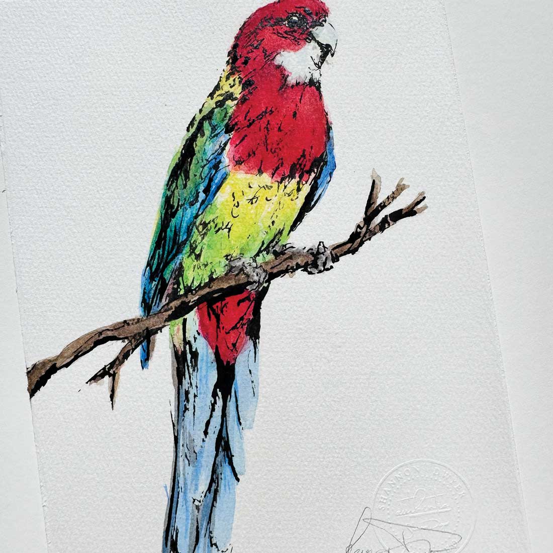 SOLD - 'ROWAN', the Rosella - original artwork